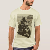 Motorcat V02