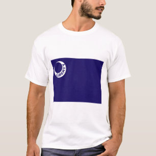 Camiseta Moultrie Flag (Liberdade) (História Americana)