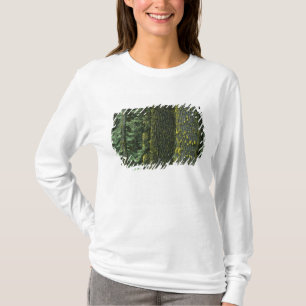 Camiseta Mt. Ashland, Floresta Nacional Rogue RIver,