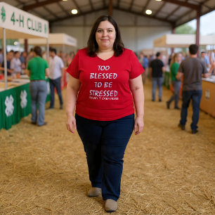 Camiseta Muito Abençoado Para Estressar No Pescoço V