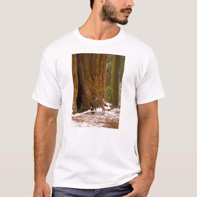 Camiseta Mule Deer (Frente)