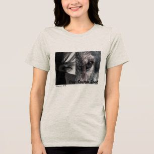 Camiseta Mulher Lobo – Espírito Selvagem Uma Alma