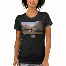 Mulher norueguesa numa carruagem puxada por cavalo