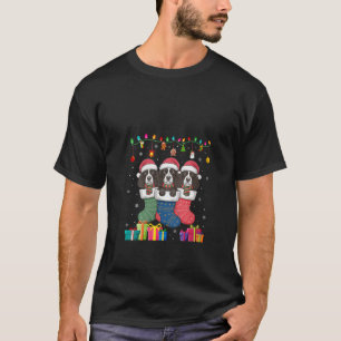 Camiseta Mulher: Três Cachorros Boykin Spaniel em Sock Engr