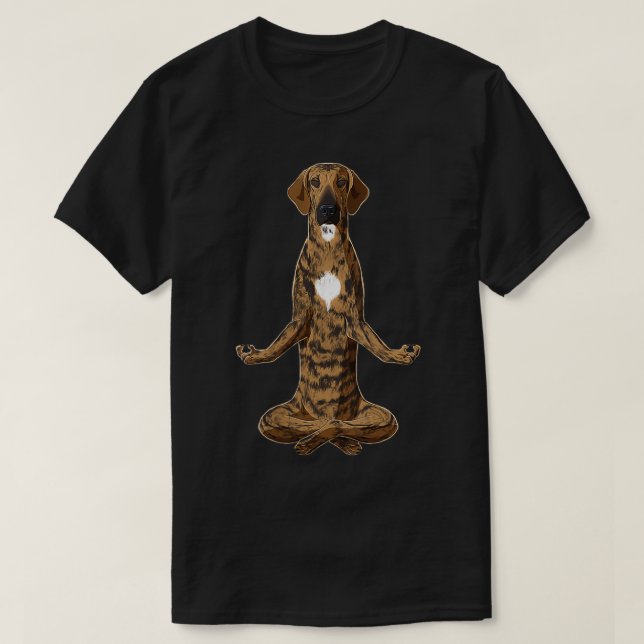 Camiseta Mulheres Engraçadas Cachorro Yoga Plott Hound VNec (Frente do Design)