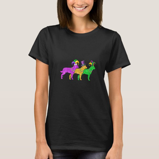 Camiseta Mulheres Rottweiler Cachorro Mardi Gras Festa Ou (Frente)