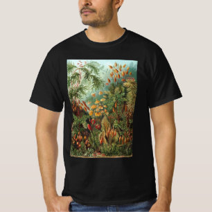 Camiseta Muscinae Antigos, Plantas de Musgo por Ernst Haeck