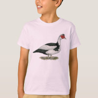 Muscovy Drake Pied preto