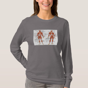 Camiseta Músculos Diagramas101