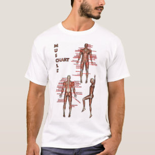Camiseta Músculos e ossos