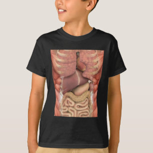 Camiseta Músculos Humanos Órgãos Anatomia Assustadora Hallo