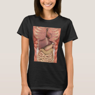 Camiseta Músculos Humanos Órgãos Anatomia Assustadora Hallo