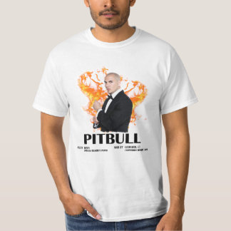 Camiseta música pitbull