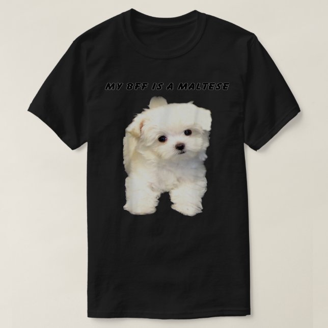 Camiseta MY BFF IS A MALTESEthe Most Popular Maltese T shir (Frente do Design)