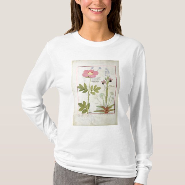 Camiseta Myanthos do Paeonia ou a peônia, e do Orchis (Frente)