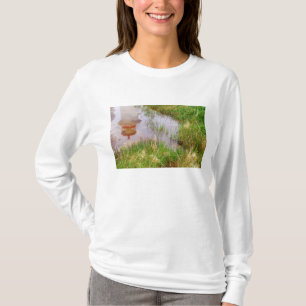 Camiseta N.A. Canadá, Nova Escócia, Peggy's Cove.