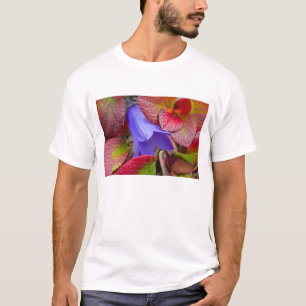 Camiseta N.A., EUA, Alasca. Campainha azul na tundra em