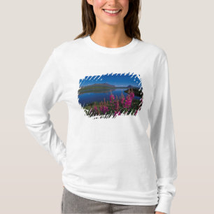 Camiseta N.A., EUA, Alasca, Cordilheira do Alasca Comum