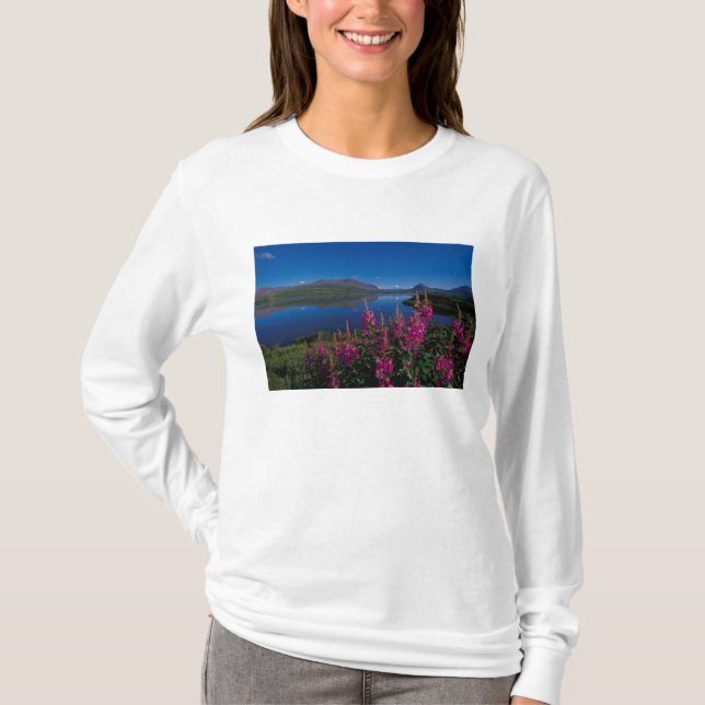 Camiseta N.A., EUA, Alaska, Alaska Range Common (Frente)