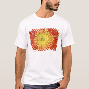Camiseta N.A., EUA, Arizona, Casa Grande, NM, Deserto
