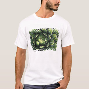 Camiseta N.A., EUA, Arizona, Tucson, Deserto de Sonora