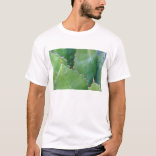 Camiseta N.A., EUA, Arizona, Tucson, Deserto de Sonora