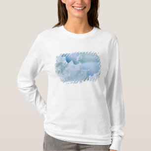 Camiseta N.A., EUA, Arizona, Tucson, Deserto de Sonora 2