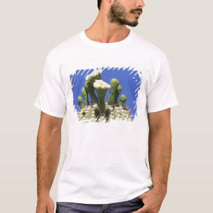 Camiseta N.A., EUA, Arizona, Tucson, Deserto de Sonora 2