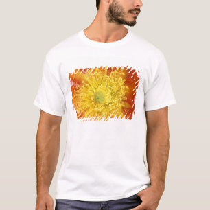 Camiseta N.A., EUA, Arizona, Tucson, Deserto de Sonora 3