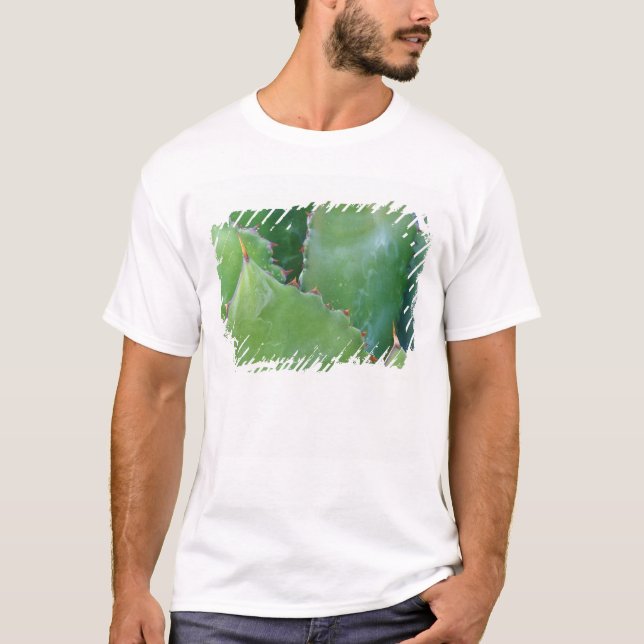 Camiseta N.A., EUA, Arizona, Tucson, Sonora Desert (Frente)