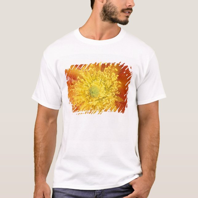 Camiseta N.A., EUA, Arizona, Tucson, Sonora Desert 3 (Frente)