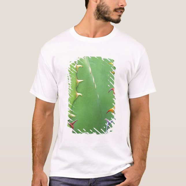 Camiseta N.A., EUA, AZ, Phoenix, Desert Botanical 2 (Frente)
