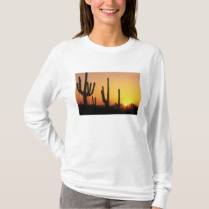 Camiseta N.A., EUA, AZ, Saguaro NP, Pôr do Sol do Saguaro