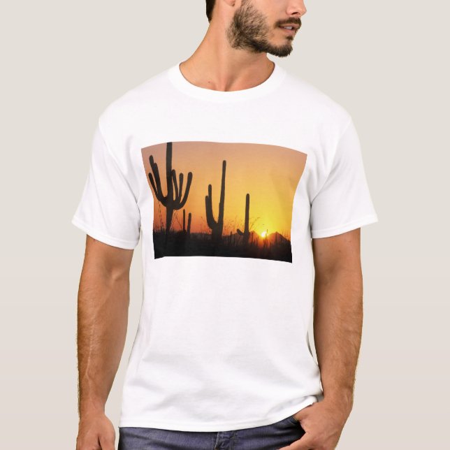 Camiseta N.A., EUA, AZ, Saguaro NP, Saguaro Sunset (Frente)