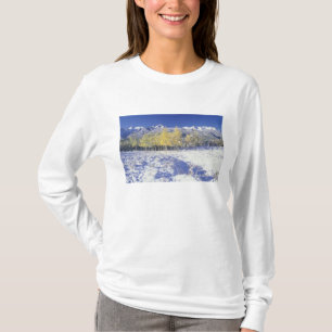 Camiseta N.A., EUA, Colorado, San Juan Mts Neve fresca