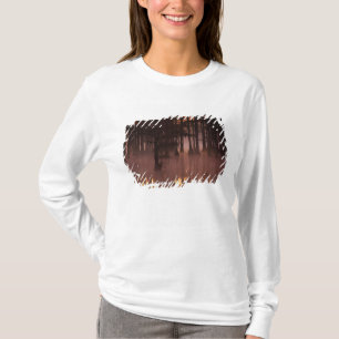 Camiseta N.A., EUA, Geórgia, George Smith State Park.
