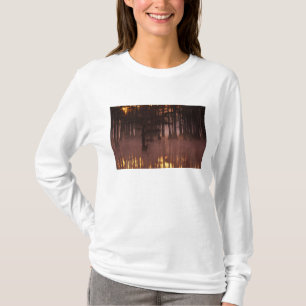 Camiseta N.A., EUA, Geórgia, George Smith State Park.