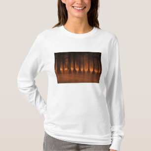 Camiseta N.A., EUA, Geórgia, George Smith State Park. 2