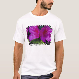 Camiseta N.A. EUA, Geórgia, Savannah. Azaléia em flor.
