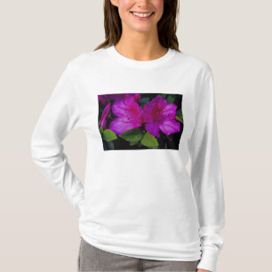Camiseta N.A. EUA, Geórgia, Savannah. Azaléia em flor.