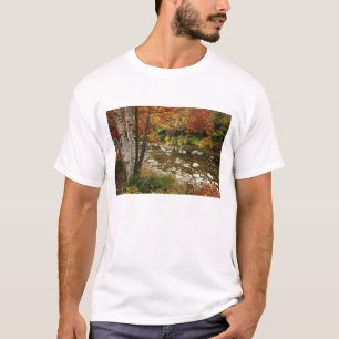 Camiseta N.A., EUA, New Hampshire, White Mountains,