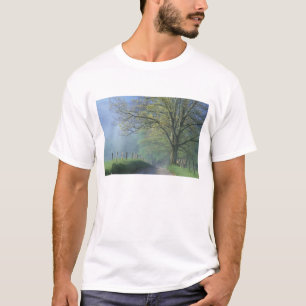Camiseta N.A., EUA, Tennessee, Parque Nacional Smokey Mts.,