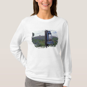 Camiseta N.A., EUA, Texas, Llano, Lanterna Azul, Carvalho