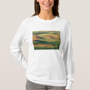 Camiseta N.A., EUA, Washington, Condado de Whitman.