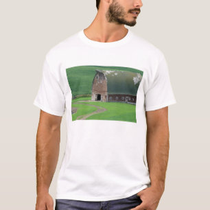 Camiseta N.A., EUA, Washington, Condado de Whitman. Velho