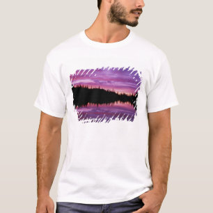 Camiseta N.A., EUA, Washington, Mt. Rainier Nacional 2