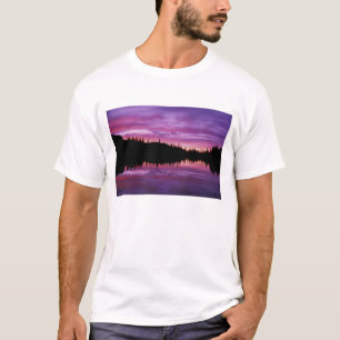 Camiseta N.A., EUA, Washington, Mt. Rainier Nacional 2