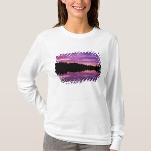 Camiseta N.A., EUA, Washington, Mt. Rainier Nacional 2