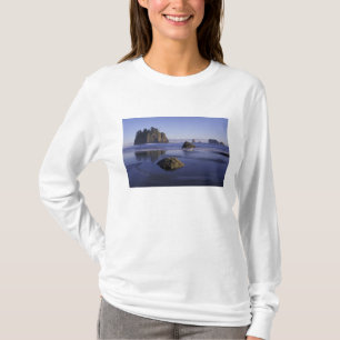 Camiseta N.A., EUA, Washington, Parque Nacional Olímpico, 3