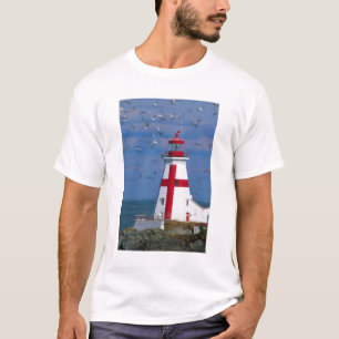 Camiseta NA, Canadá, New Brunswick, Ilha Campobello. 8